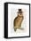 A Dapper Bird-Christopher James-Framed Stretched Canvas