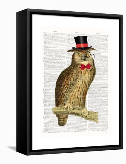 A Dapper Bird-Christopher James-Framed Stretched Canvas