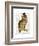 A Dapper Bird-Christopher James-Framed Art Print