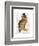 A Dapper Bird-Christopher James-Framed Art Print