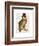 A Dapper Bird-Christopher James-Framed Art Print