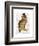 A Dapper Bird-Christopher James-Framed Art Print