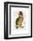 A Dapper Bird-Christopher James-Framed Art Print