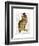 A Dapper Bird-Christopher James-Framed Art Print