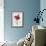 A Dark Red Carnation-Pierre-Joseph Redouté-Framed Giclee Print displayed on a wall