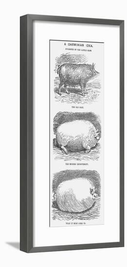 A Darwinian Idea, 1865-TW Woods-Framed Giclee Print