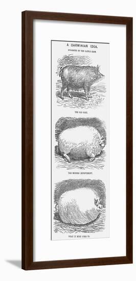 A Darwinian Idea, 1865-TW Woods-Framed Giclee Print