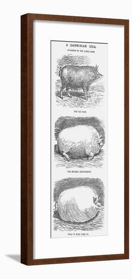 A Darwinian Idea, 1865-TW Woods-Framed Giclee Print