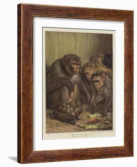 A Darwinian Question-Samuel John Carter-Framed Giclee Print