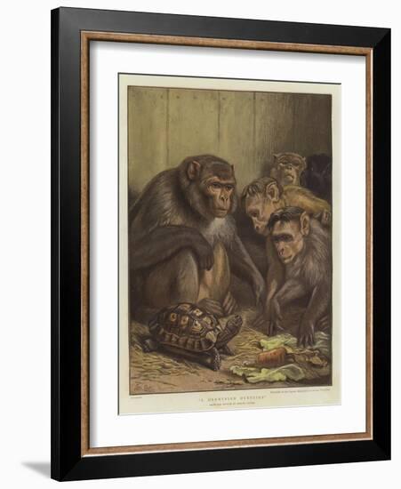 A Darwinian Question-Samuel John Carter-Framed Giclee Print