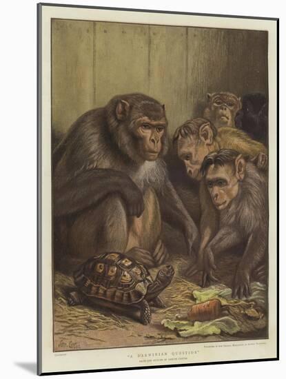 A Darwinian Question-Samuel John Carter-Mounted Giclee Print