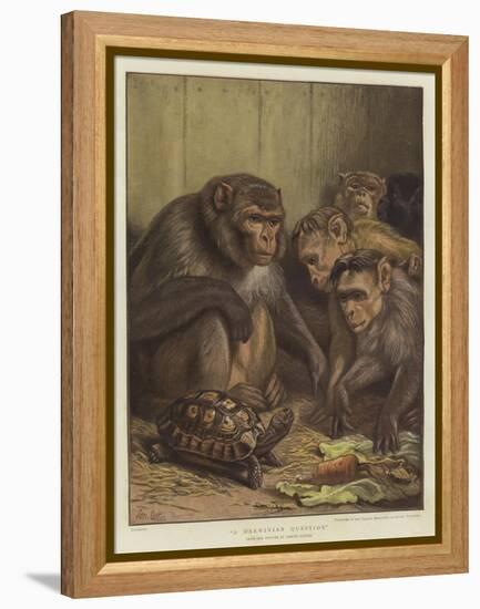 A Darwinian Question-Samuel John Carter-Framed Premier Image Canvas