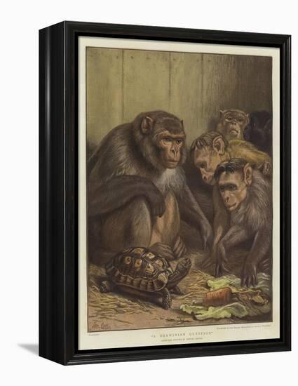 A Darwinian Question-Samuel John Carter-Framed Premier Image Canvas