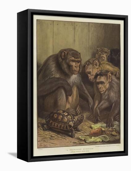 A Darwinian Question-Samuel John Carter-Framed Premier Image Canvas