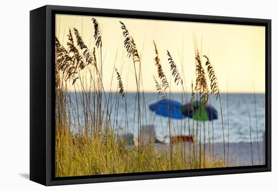 A Day at the Beach Is Seen Through the Sea Oats, West Coast, Florida-Sheila Haddad-Framed Premier Image Canvas