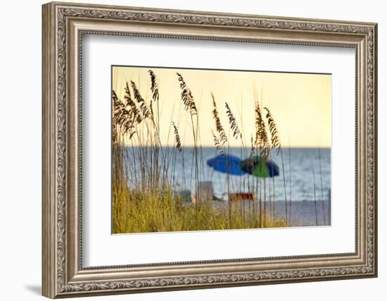 A Day at the Beach Is Seen Through the Sea Oats, West Coast, Florida-Sheila Haddad-Framed Photographic Print