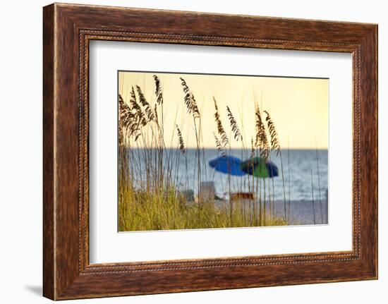 A Day at the Beach Is Seen Through the Sea Oats, West Coast, Florida-Sheila Haddad-Framed Photographic Print