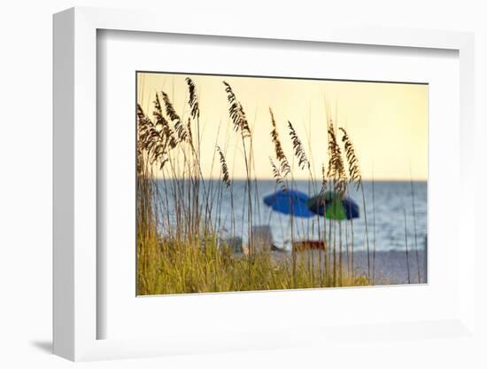 A Day at the Beach Is Seen Through the Sea Oats, West Coast, Florida-Sheila Haddad-Framed Photographic Print