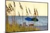 A Day at the Beach Is Seen Through the Sea Oats, West Coast, Florida-Sheila Haddad-Mounted Photographic Print