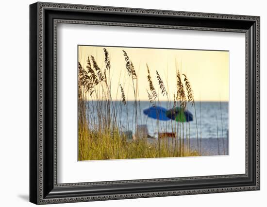 A Day at the Beach Is Seen Through the Sea Oats, West Coast, Florida-Sheila Haddad-Framed Photographic Print