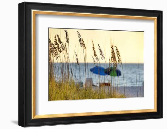 A Day at the Beach Is Seen Through the Sea Oats, West Coast, Florida-Sheila Haddad-Framed Photographic Print