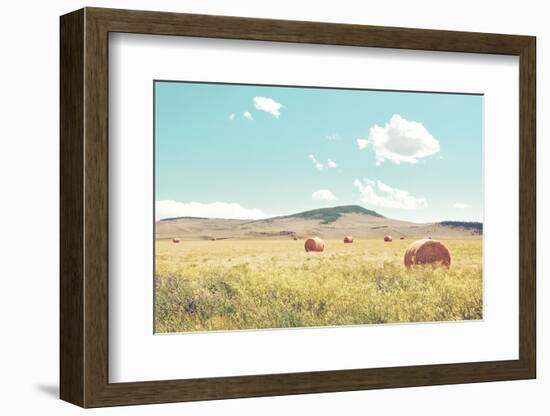 A Day in the Fields-Annie Bailey Art-Framed Photographic Print