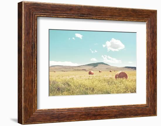 A Day in the Fields-Annie Bailey Art-Framed Photographic Print