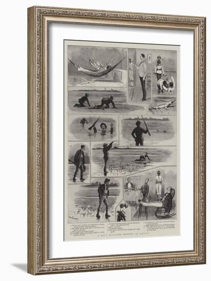 A Day's Alligator Shooting in Jamaica-Joseph Nash-Framed Giclee Print