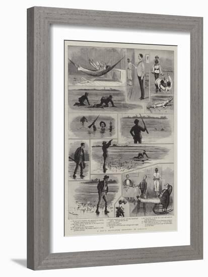 A Day's Alligator Shooting in Jamaica-Joseph Nash-Framed Giclee Print