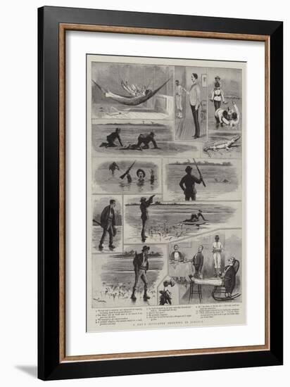 A Day's Alligator Shooting in Jamaica-Joseph Nash-Framed Giclee Print