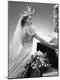 Premium Photographic Print