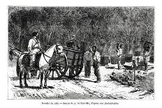 Harvesting the Coffee, Brazil, 19th Century-A de Neuville-Framed Giclee Print