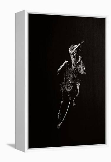 A Dead Bird-Torsten Richter-Framed Premier Image Canvas