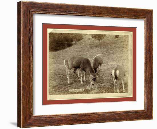 A Dear Picture, at Hot Springs-John C. H. Grabill-Framed Premium Giclee Print