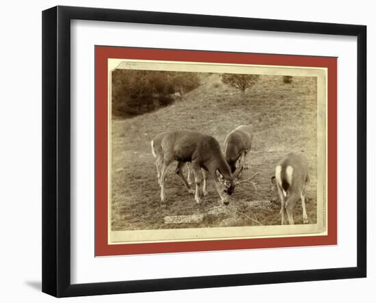 A Dear Picture, at Hot Springs-John C. H. Grabill-Framed Premium Giclee Print