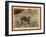 A Dear Picture, at Hot Springs-John C. H. Grabill-Framed Premium Giclee Print