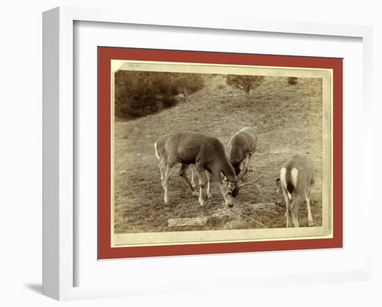 A Dear Picture, at Hot Springs-John C. H. Grabill-Framed Premium Giclee Print