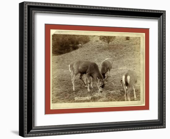 A Dear Picture, at Hot Springs-John C. H. Grabill-Framed Premium Giclee Print