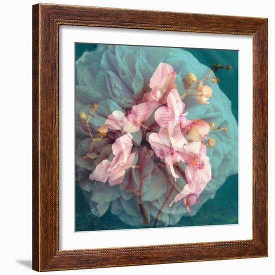 A Delicate Floral Montage from Blooming Orchids and Rose-Alaya Gadeh-Framed Photographic Print