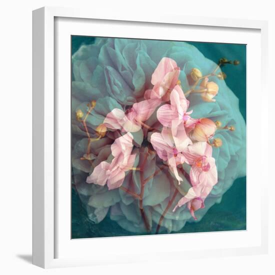 A Delicate Floral Montage from Blooming Orchids and Rose-Alaya Gadeh-Framed Photographic Print