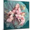 A Delicate Floral Montage from Blooming Orchids and Rose-Alaya Gadeh-Mounted Photographic Print