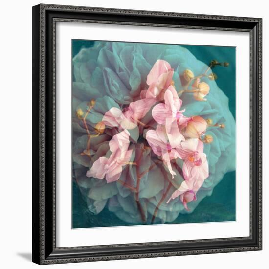 A Delicate Floral Montage from Blooming Orchids and Rose-Alaya Gadeh-Framed Photographic Print