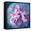 A Delicate Floral Montage from Blooming Orchids and Rose-Alaya Gadeh-Framed Premier Image Canvas