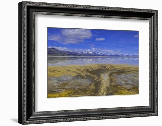 A delta on Middle Alkali Lake east of Cedarville, California.-Richard Wright-Framed Photographic Print