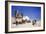 A Desert Scene Nicolai Martin Ulfsten-null-Framed Giclee Print