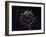 A Detailed View at the Tattered Remains of a Supernova Explosion known as Cassiopeia A-Stocktrek Images-Framed Photographic Print