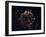 A Detailed View at the Tattered Remains of a Supernova Explosion known as Cassiopeia A-Stocktrek Images-Framed Photographic Print