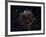 A Detailed View at the Tattered Remains of a Supernova Explosion known as Cassiopeia A-Stocktrek Images-Framed Photographic Print