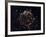 A Detailed View at the Tattered Remains of a Supernova Explosion known as Cassiopeia A-Stocktrek Images-Framed Photographic Print