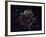 A Detailed View at the Tattered Remains of a Supernova Explosion known as Cassiopeia A-Stocktrek Images-Framed Photographic Print